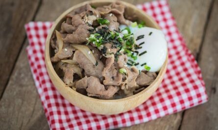 Japanese Donburi with pork - recipe - photo: chat_a4 / fotolia.com
